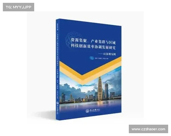以期五区为核心推动区域经济协同发展与创新驱动战略实施路径研究 以期五区为核心推动区域经济协同发展与创新驱动战略实施路径研究